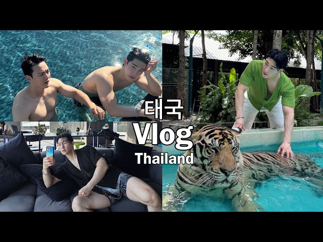 sub.eng) What do you do in Bangkok for four men? Thailand 🇹🇭 / Tiger Park / Frying insects