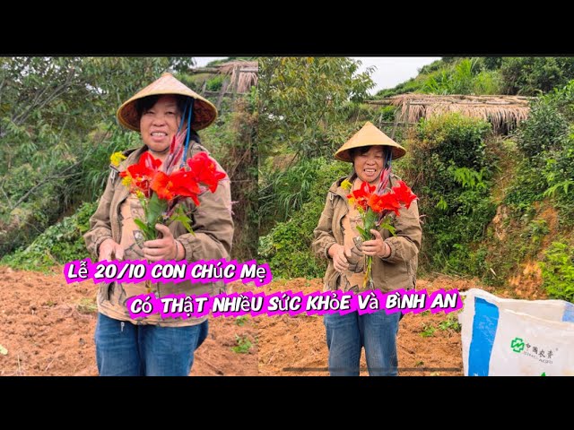 Lễ 20/10 Con Tặng Mẹ Món Quà Nho Nhỏ Con Chúc Mẹ Thật Nhiều Sức Khỏe Và Bình An