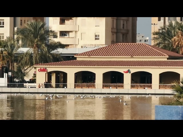 beautiful view of boulivard park salmiya kuwait#kuwaitview