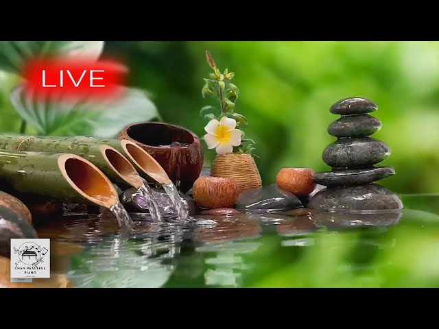 🔴 Relaxing Music 24/7, Stress Relief Music, Sleep Music, Meditation Music, Study, Calming Music