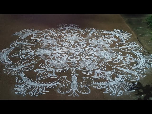 🦋 Butterfly Rangoli🦋#butterfly#muggulu#village#culture#rangoli#telugu#design#kolam#minivlog#geeta