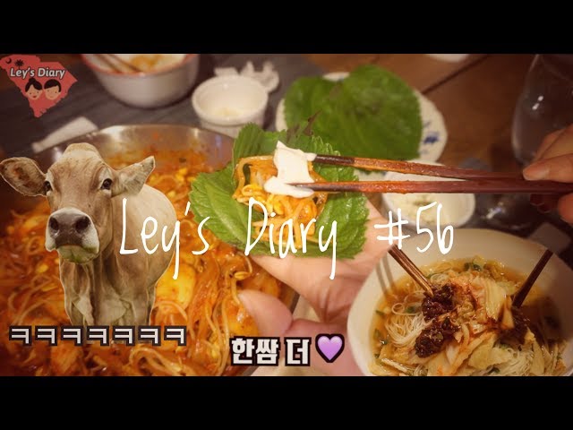 [미국일상 VLOG] 콩불, 콩삼 아닌 레이의 콩닭콩닭🐔, 건강검진 결과가 나왔어요⚡️😣, 점보 국수 먹방ㅋㅋ, 감자 떡 만두, 다음 예고! 찰스턴 여행💜 | 레이🌱