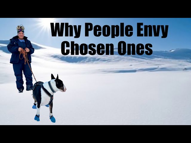 Why people Envy Chosen Ones