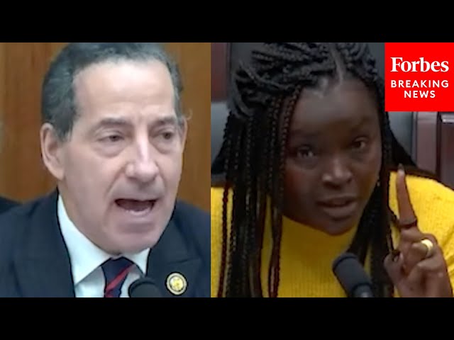 'You've Just Been Complaining!': Congressional Witness Assails Jamie Raskin For Attacks On Musk