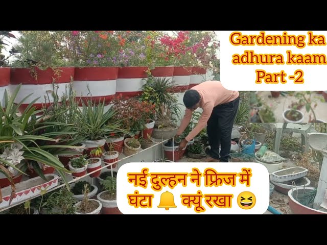 Garden ke hazaro kaam🧐 Gardening with fun #garden #gardening #plants #flowers #summerflower