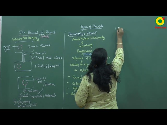 Biological Classification-08 by AN Ma'am II NEET (Biology)