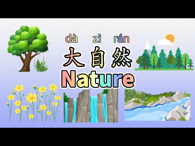 Nature Name in Chinese | 大自然2 | 花草树木......| 【中文加油站】2022