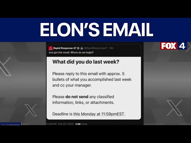 Elon Musk email federal workers to explain what they did last week