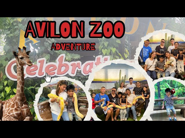 Avilon Zoo Adventure| Animals Tour2025