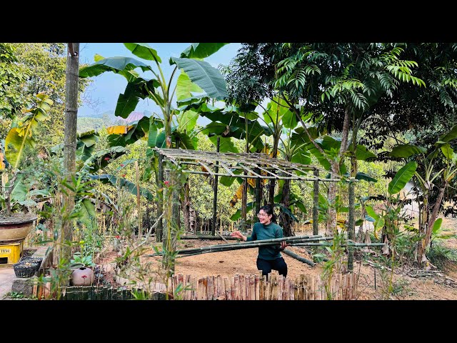 Making bamboo trellis, flower care, mountain life