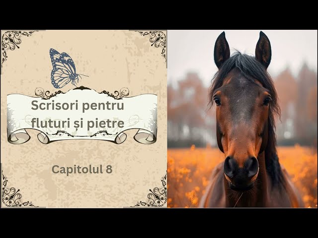 Scrisori pentru fluturi și pietre de Călin Gruia - Capitolul 8/89 - Audiobook