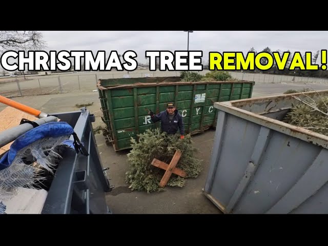 Christmas Tree Removal & Recycling in Santa Rosa, Ca | Brothers Junk Removal