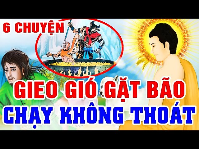 6 Chuyện Nhân Quả, GIEO GIÓ GẶT BÃO - Nhân Nào Quả Đó...Luật Nhân Quả Không Bỏ Sót Ai Chớ Xem Thường