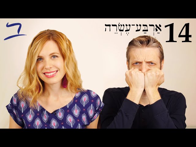 Hebrew - Nature and Existence Clauses -  Free Biblical Hebrew - Lesson 14