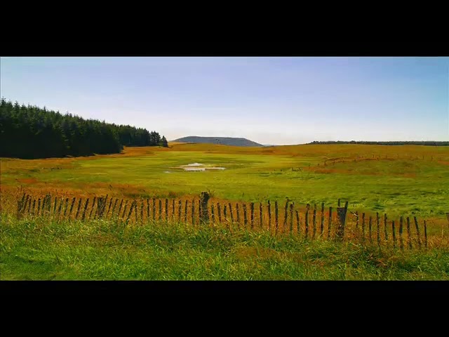 Musique relaxation   Au coeur de la nature en musique douce