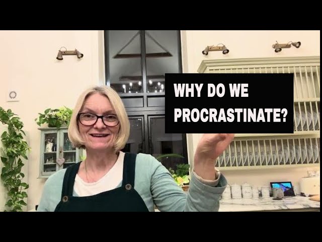 Why Do We Procrastinate-Flylady Anti-Procrastination Day #procrastination #procrastination #flylady