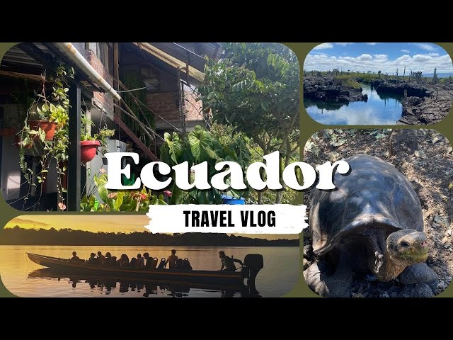 3 Weeks in Ecuador! - A Travel Vlog