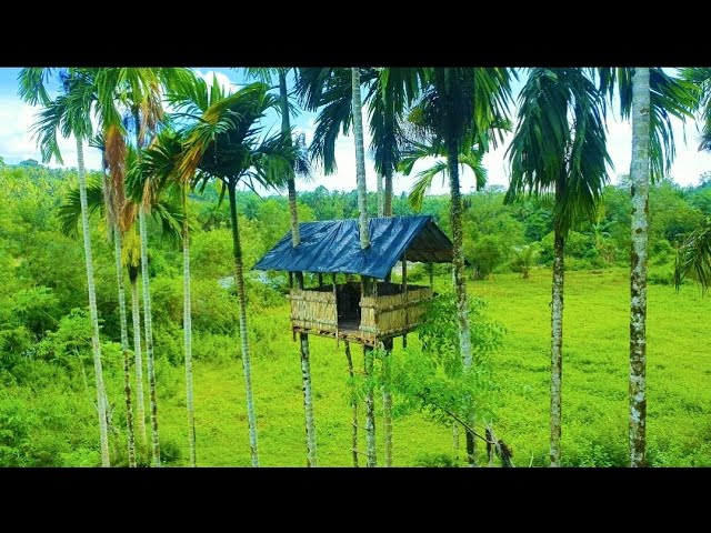 make a tree house||a safe place for camping and shelter