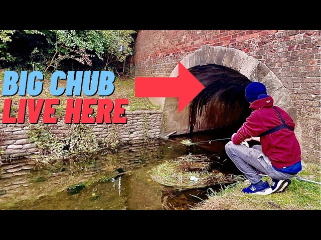 CHUB IN THE CITY | Micro Jigging For Perch and Chub | Lincoln City Centre