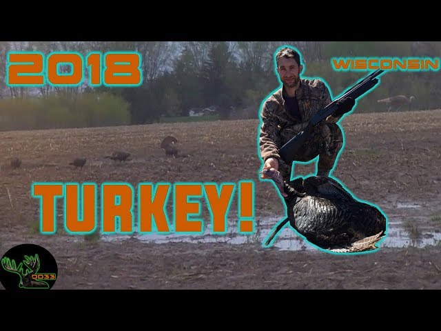 My 2018 TURKEY HUNT  in Wisconsin! !