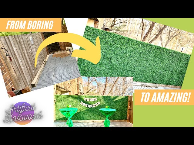 HOW TO PUT UP A GREEN WALL I Artificial Boxwood Install & Review