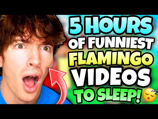 *5 HOURS* OF “FUNNIEST” FLAMINGO TO FALL ASLEEP! (MARATHON/ROBLOX)