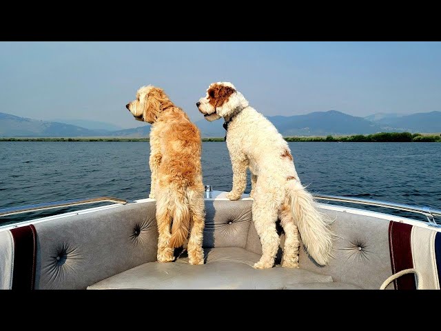 Boating on Henrys Lake - that's where the fancy people live!