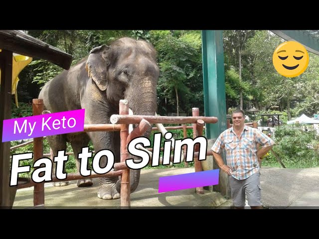 Keto My Keto Diet From Fat To Slim Keto Diet Weight Loss Video