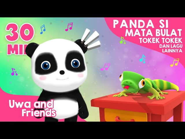 Panda Si Mata Bulat, Tokek Tokek, dan Lagu Lainnya - 30 Menit Kompilasi Lagu Anak Indonesia