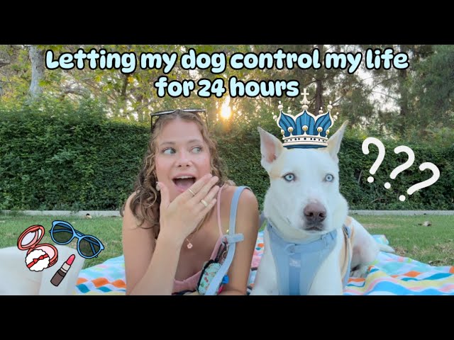 I let my dog decide EVERYTHING for the day!! 😳😱