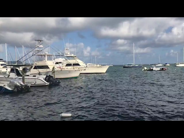 Christiansted Boardwalk & Harbor