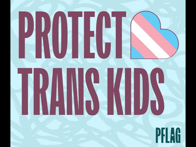 Prejudice Disguised as Protection: Breaking the Cycle to Protect Trans Youth