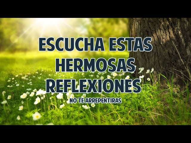 Hermosas Reflexiones de Vida que te ayudaran a ser Mejor || Motivacionales, de Dios y Amor Propio.