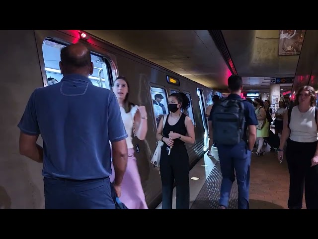 WMATA Yellow, Green, Blue, Orange and Silver line trains @ L'efant Plaza (7/15/24)