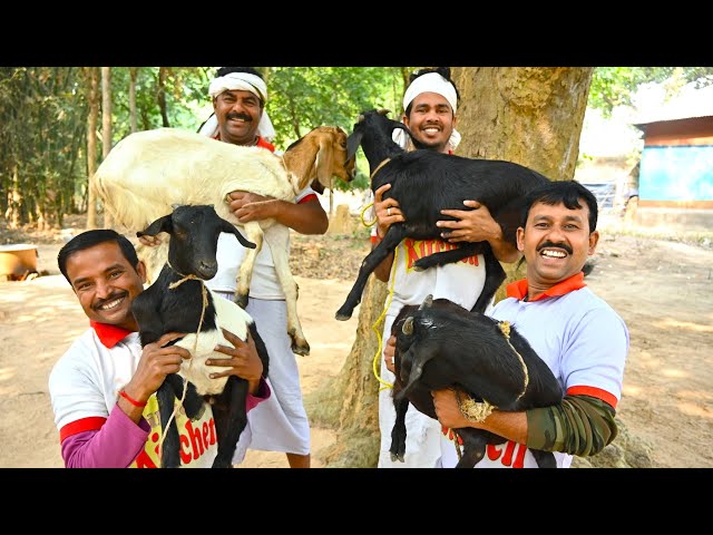 Bengali famous Lau Chingri & 50 Kg Mutton curry recipe | Bottle Gourd & Mutton Curry for village