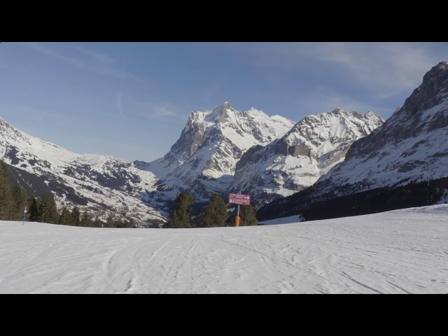 Ski Grindelwald