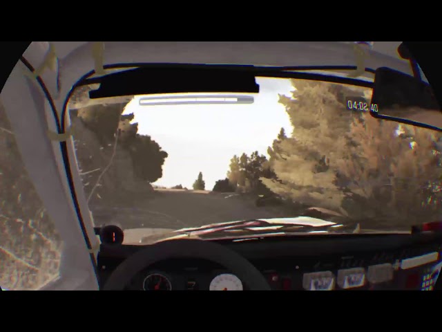 DiRT Rally THIS Batman!