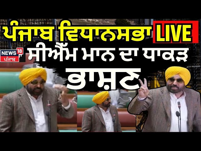 Punjab Vidhan Sabha Live | ਵਿਧਾਨਸਭਾ ਤੋਂ CM Bhagwant Mann Live | AAP | News18 Punjab Live