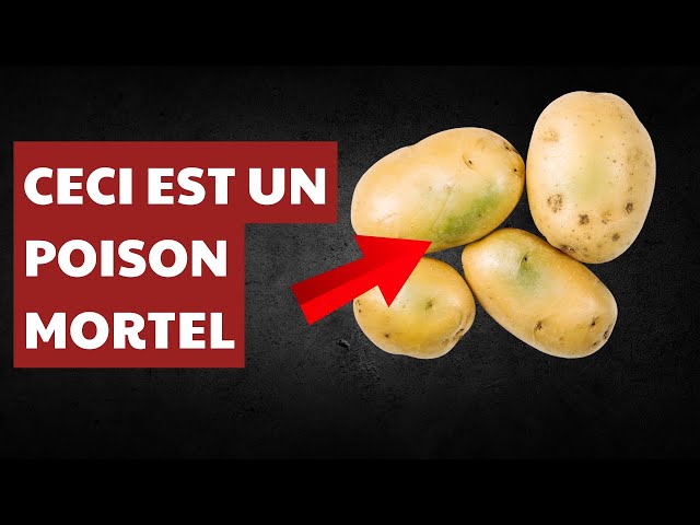 Comment j’ai failli mourir en mangeant des pommes de terre ! Les 4 dangers cachés de ce tubercule