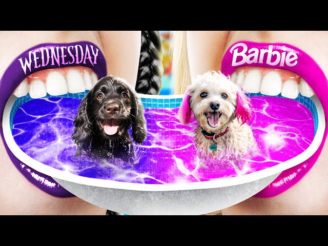 Barbie vs Wednesday Addams! We Bouwen een Klein Waterpark voor Huisdieren!