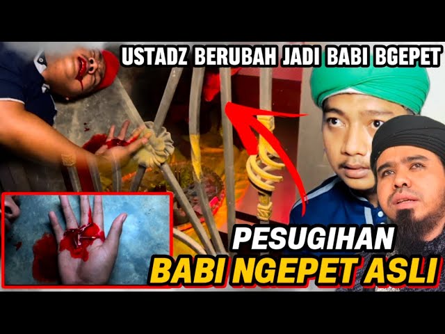 BANTU VIRALKAN‼️MAS REY X GUS SAMSUDIN  DATANGI USTADZ JAMAL PEMILIK PESUGIHAN BABI NGEPET