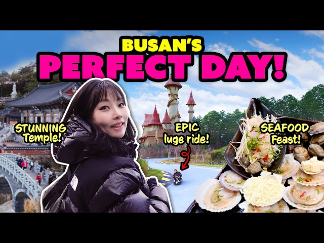 Ultimate Busan Travel Guide 2025: Temple, Luge & Local Food Secrets