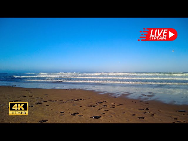 🌊Ocean Vibes: Relax and Unwind with Nature’s Calm, 4K Live