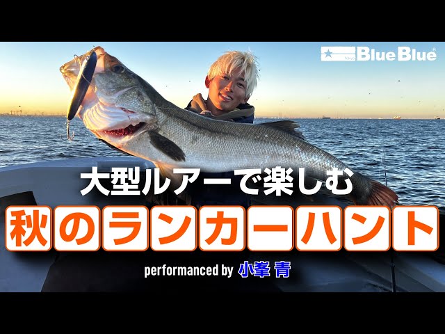 【 小峯 青 】ビッグルアーで楽しむ 東京湾 晩秋のランカーハント！