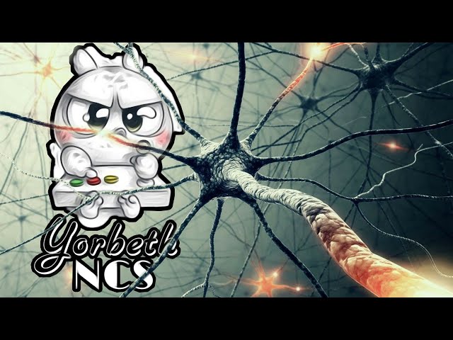 Zombr3x - Neuronal Destruction