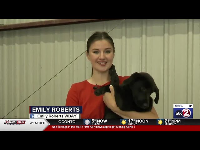 Morning reporter Emily Roberts moves on