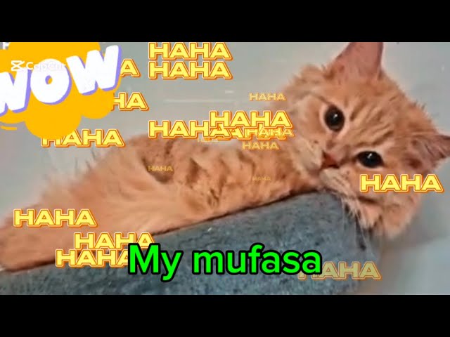 Mufasa