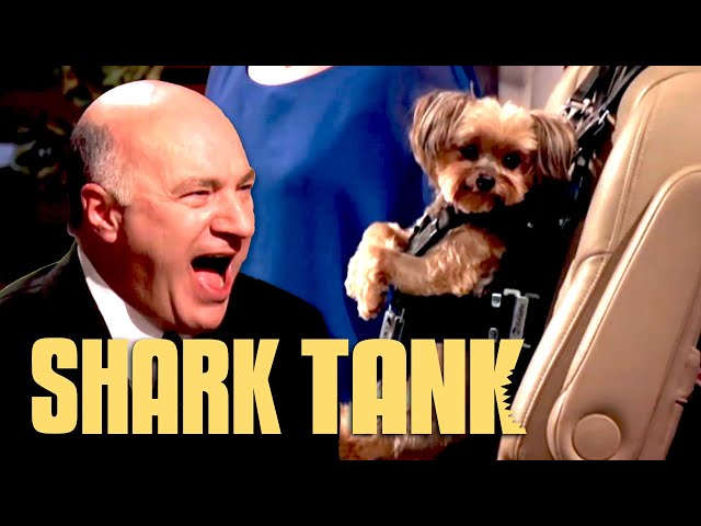 The Sharks Can't Stop Laughing At ZugoPet | Shark Tank US | Shark Tank Global