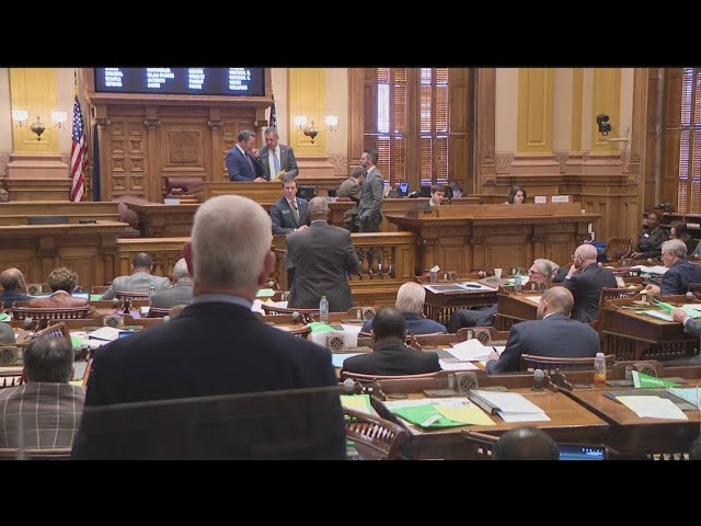 Georgia 'DOGE' bill passes, faces pushback