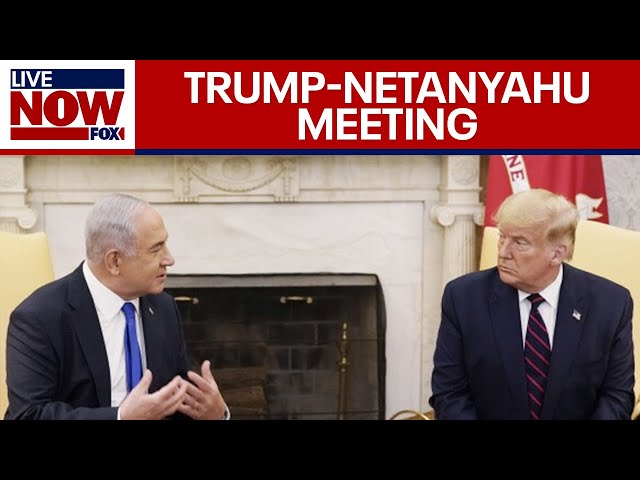 LIVE NOW: 'Nobody Elected Elon' rally in DC, Trump & Netanyahu meet